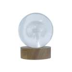 LED Dandelion Decor Light On Wooden Stand Clear
