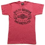H-d Goldrand Dealer T Shirt -HDR40291504