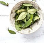 Bay Leaf 20G P