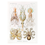 Ocean 19 Art Print