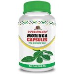 Uvukahlale Moringa Caps 60