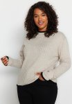 Plus Stripe Sweater - Beige