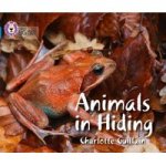 Animals In Hiding: Band 04 blue