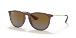- Erika - Tranparent Dark Brown polarized Brown Gradient - 54