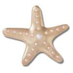 Goldair Gold And Pearl Starfish Jibbitz - Nature