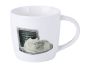 Maxwell & Williams Marc Martins Feline Friends Mug 400ML - Computer Cat