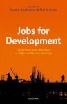 Jobs For Development - Challenges And Solutions In Different Country Settings Hardcover