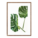 Delicious Monster Leaf III - A3