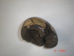 Septarian Jasper Geode JULS48