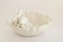 Bunnies In A Cabbage Bowl