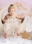 Gold And Silver Stat Tulle Dress Ivory