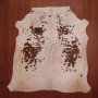 Aas Grade Nguni Hide 530 Brown/white L - Large / Brown/white / Speckled