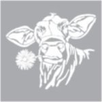 Stencil Daisy Cow