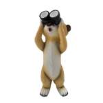 Solac Solar Meerkat With Binoculars 28CM
