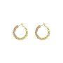 Gold Hoop Earrings For Women