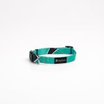Duke Collar - Dog Collar - Medium