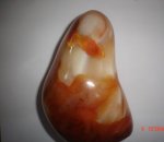 Carnelian Free Form SSP194