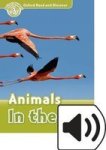 Oxford Read And Discover: Level 3: Animals In The Air Cd