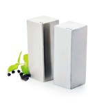 Rectangular Salt And Pepper SGN2136