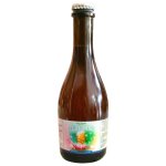 Barrel Brewing Ale Of Origin Gueuze - Oak Aged South African Sour Beer - Single