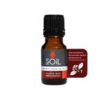 Essential Oil Clove Bud 10ML