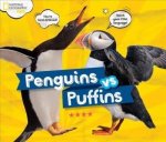 Penguins Vs. Puffins Hardcover