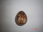 Petrified Wood Stone Egg SSP169