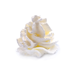Fresha Fresh Cream Cream Fresh Concentrate - 100ML