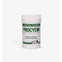 Procydin