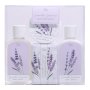 Natures Edition Bathtime Treats - Lavender