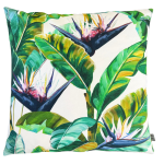 Birds Of Paradise Small White Organic Cotton Scatter Cover