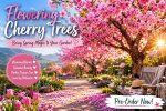 Flowering Cherry Tree Pink Flower