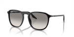 Ray-ban Black- Light Grey Gradient