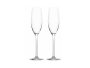 Maxwell & Williams Maxwell And Williams Calia Calia Champagne Flute 245ML Set Of 2