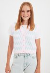 Plaid Sweater Vest - Pink