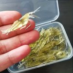 10PCS Goture Shrimp Lures Soft Shrimp Fishing Lures For Freshwater Saltwater Luminous Shrimp Bait Set With Sharp Hook And Beads