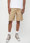 Converse Elevated Ltwt Ssnl Cargo Short - Nomad Khaki