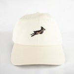 Shadow Pop Dad Cap-ivory - One Size