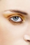 Black Premium Eyelashes