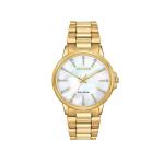Ladies Eco-drive Dress Collection