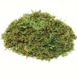 20G 0.71OZ Dried Moss For Potted Plants Moss For Decor Fake Plants For Planters Decorative Moss For Craft And Home Decor