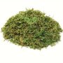 20G/0.71OZ Dried Moss For Potted Plants Moss For Decor Fake Plants For Planters Decorative Moss For Craft And Home Decor