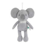 Tufflove Koala