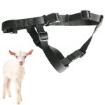 V34 V44LARGE Sheep & Small Hunting Dog Locator Set Anti-lost Device Gps Positioning Collar Set