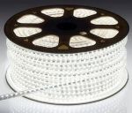 5050 220V Waterproof LED Strips Price Per Metre