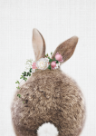 Floral Rabbit Tail - Wall Art Print - A1