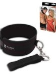 LUX Collar & Leash