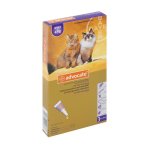 Cat - Medium Large 4KG +
