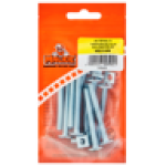 Gutter Bolt & Nut M6 X 50MM 10-PACK