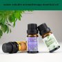 10ML/bottle Aromatherapy Essential Oil Diffuser Stone Aromatherapy Stone Fragrance Plant Oil Rose Essential Oil For DIY Scented Candle Aroma Wax Making